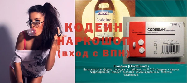 соль ск Дмитриев