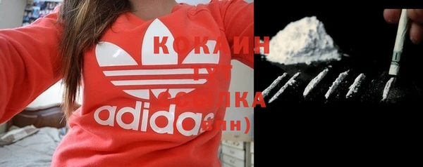 кокс Гусь-Хрустальный