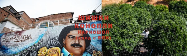 соль ск Дмитриев