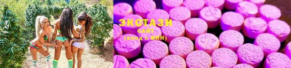 кокс Гусь-Хрустальный