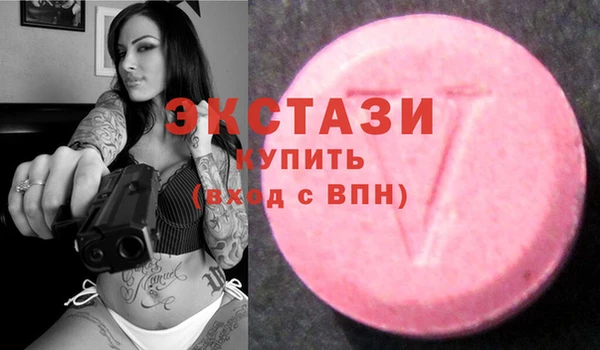 соль ск Дмитриев